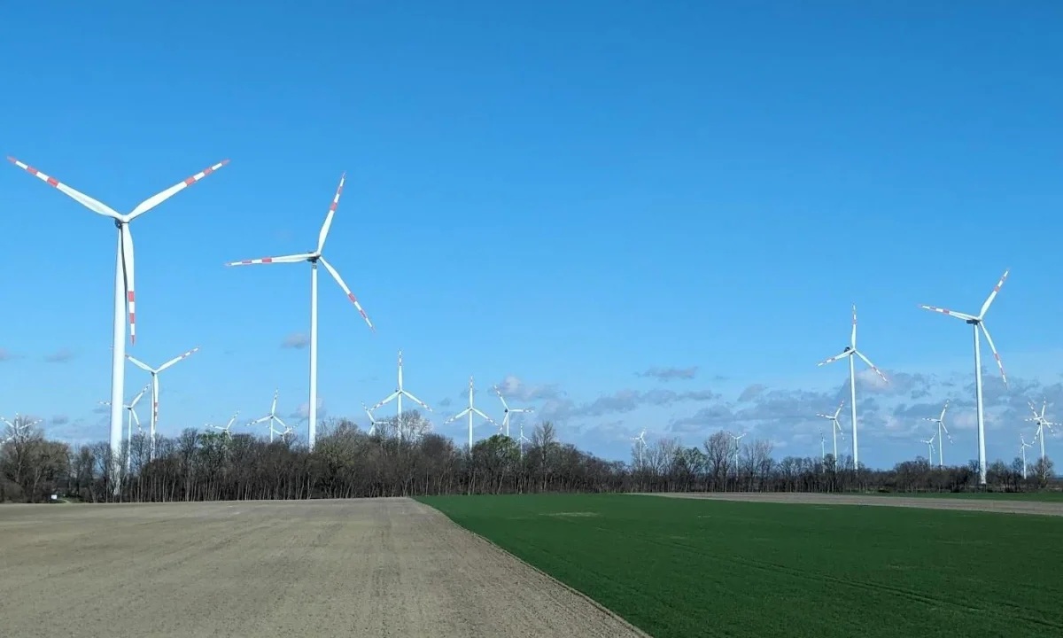 ESG Today Week in Review: ISSB Proposes Nature-Related Reporting, Major Private Equity Capital Inflows, and EIB’s Climate Adaptation Plan