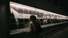 Estonian Academy of Arts Graphic Design Students Open Spooky "Beyond the Veil" Exhibition Inspired by Hidden Basement Archive