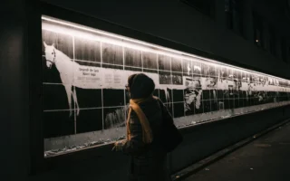 Estonian Academy of Arts Graphic Design Students Open Spooky "Beyond the Veil" Exhibition Inspired by Hidden Basement Archive