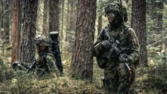 Loophole in Estonian Law: Authentic EDF Uniforms and Insignia Easily Purchased Online Despite Public Ban