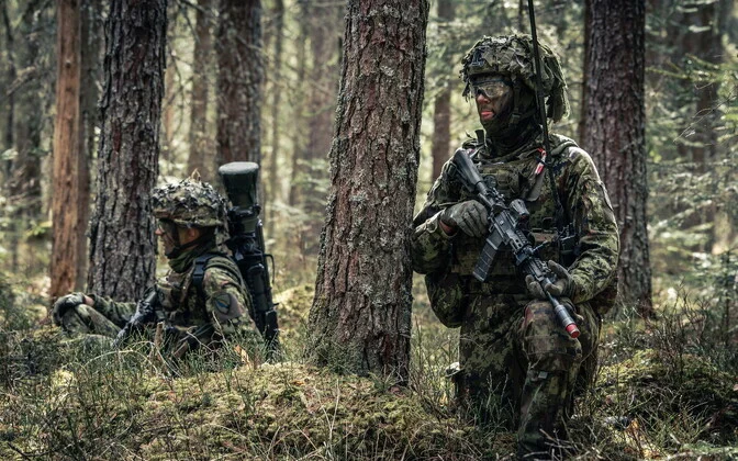 Loophole in Estonian Law: Authentic EDF Uniforms and Insignia Easily Purchased Online Despite Public Ban